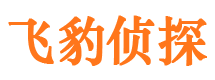 文安外遇调查取证